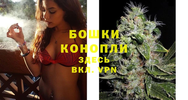 spice Аркадак