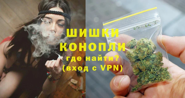 spice Аркадак
